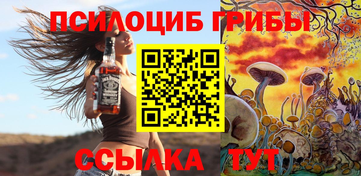 Жуковский  Галлюциногенные грибы прущие грибы  Псилоцибиновые грибы мицелий  Вход с VPN 