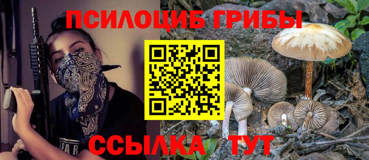 Псилоцибиновые грибы GOLDEN TEACHER Жуковский